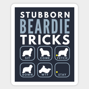 Stubborn Bearded Collie Tricks - Dog Training Magnet